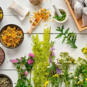Consultation Naturopathie